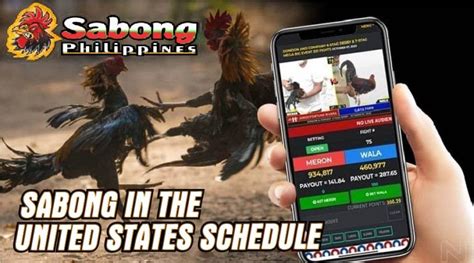 sabong tournaments|Latest Sabong Schedules .